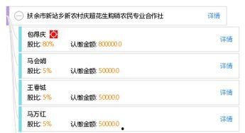 扶余市新站最新爆料,揭秘新站发展新篇章”