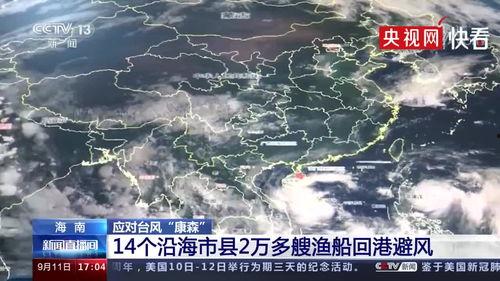 最新台风爆料视频大全集,视频大全集深度解析